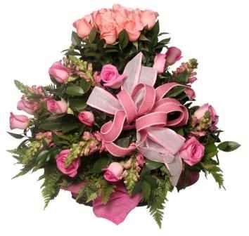 flores rosas