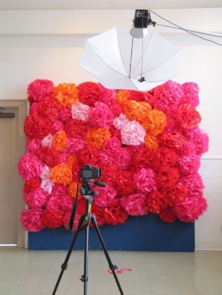 Pom Poms en pared