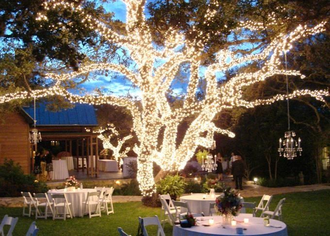 Luces en árboles