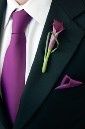 Boutonnier, corbata y pañuelo