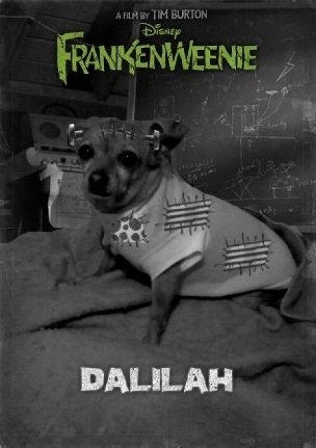 Dalilah