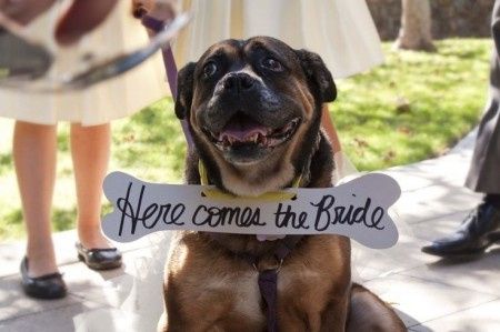 here comes de bride