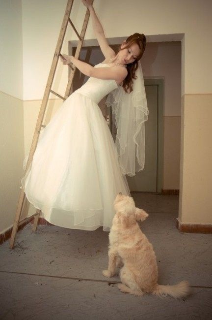 novia y perrito