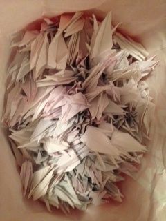 mis avances a 29 días de...