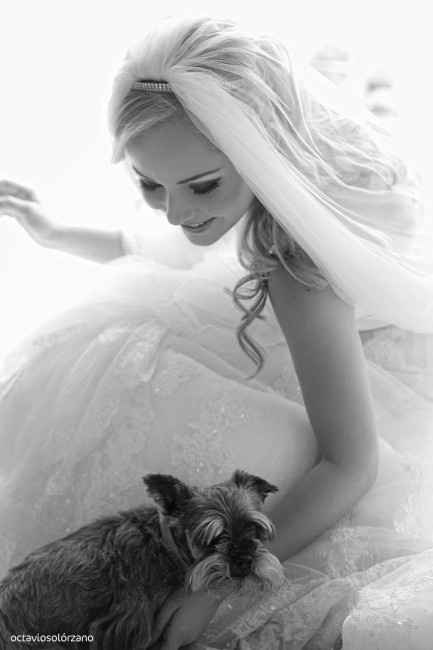 novia y perrito