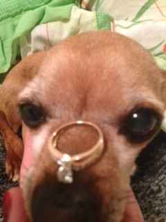 mi anillo de compromiso