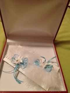 mis avances a 29 días de...