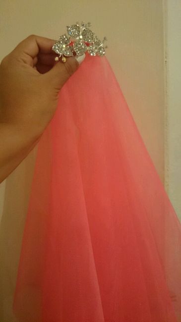 Mi velo de despedida de soltera - 2