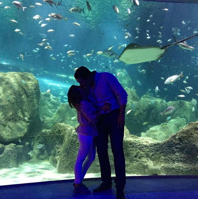 Denisse+Salvador