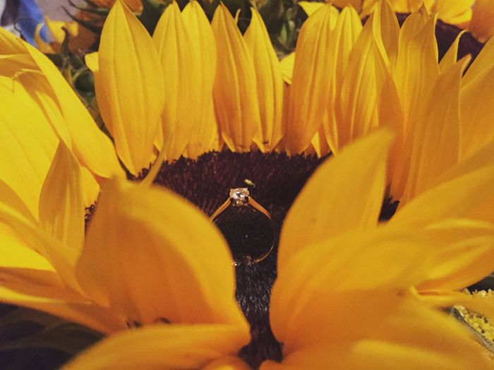 Mi anillo 💍🌻 - 2