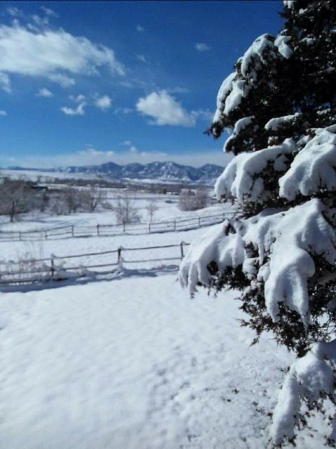 Fotos de novios en la nieve 2 19