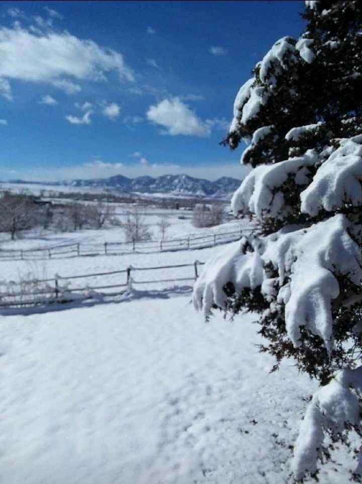 Fotos de novios en la nieve 2 - 1