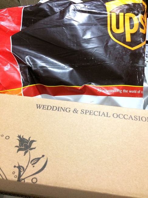 Mi paquete de jj's house - 4