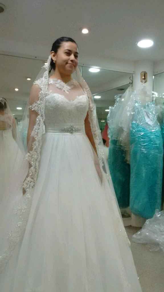 Buscando el indicado. . . . - 2