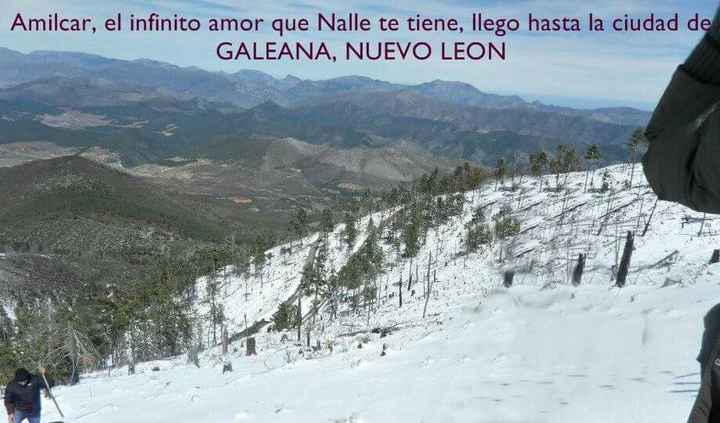 Cartelitos de amor, me ayudan? - 2