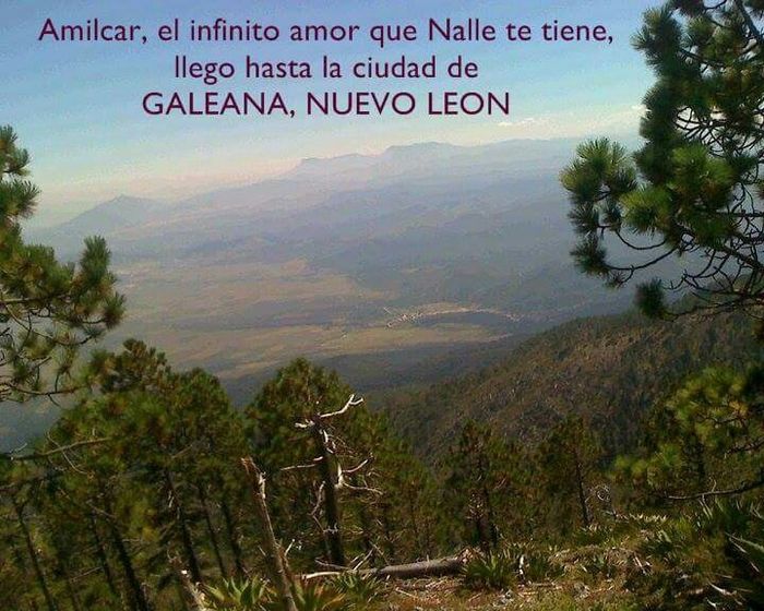 Cartelitos de amor, me ayudan? - 1