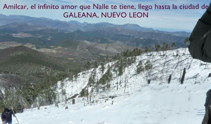 Cartelitos de amor, me ayudan? - 2