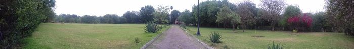 Imagen 5