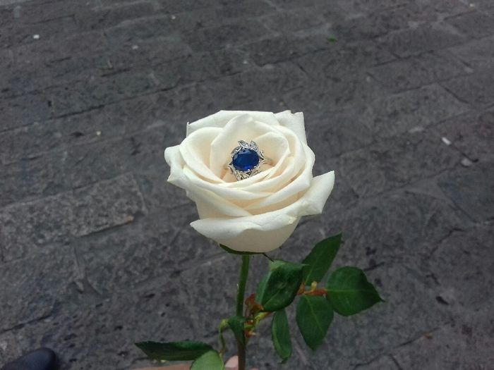 ¡Preséntanos tu anillo! - 2