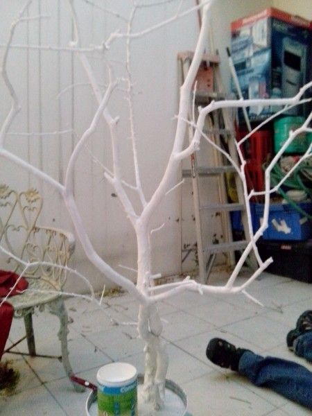 Pre-produccion arbol de los deseos