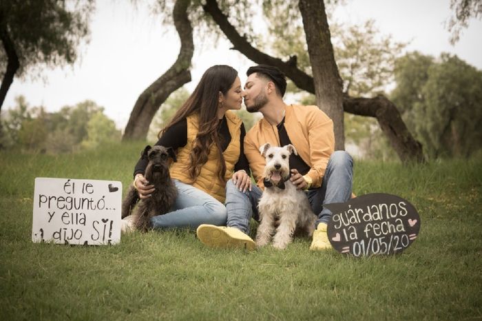 My Dogs Save the Date! 1