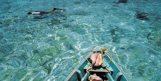 Luna de miel anticipada ¡y también científica! - 1