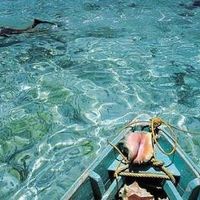 Luna de miel anticipada ¡y también científica! - 1