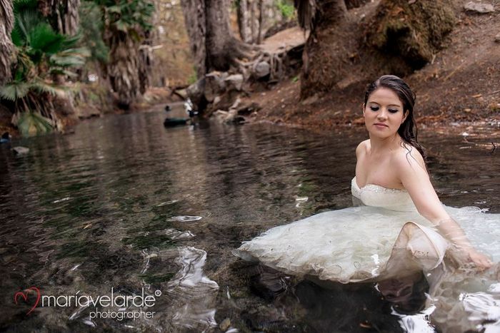 TRASH THE DRESS