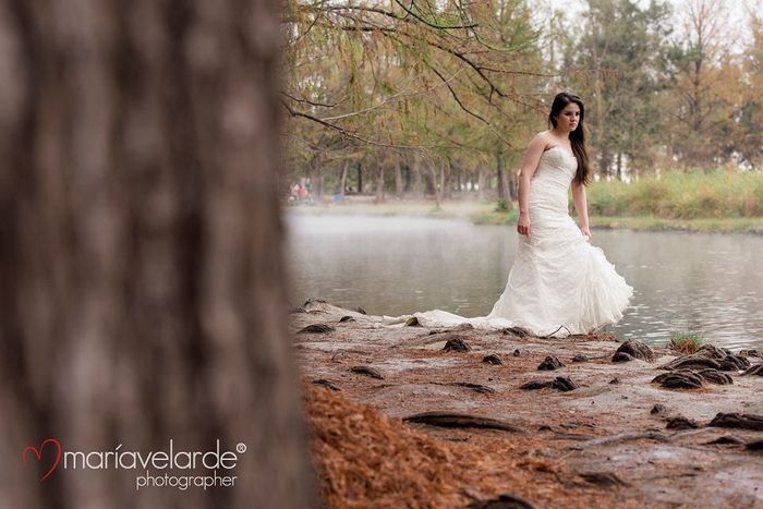 TRASH THE DRESS