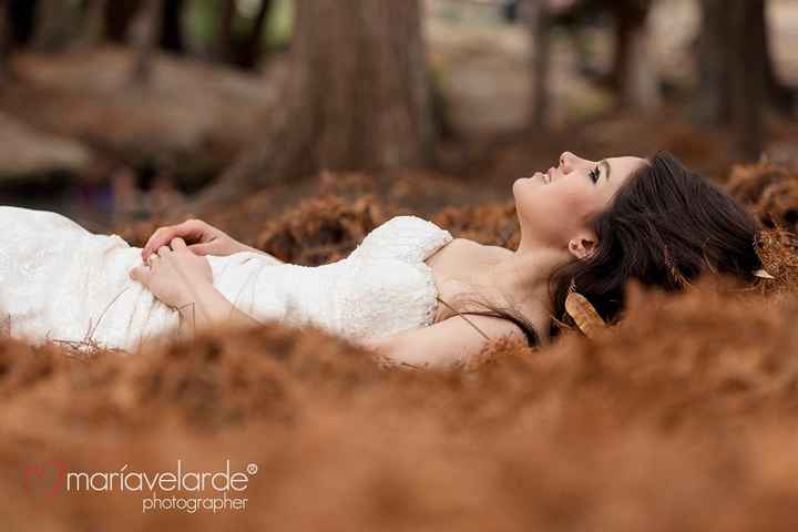 TRASH THE DRESS