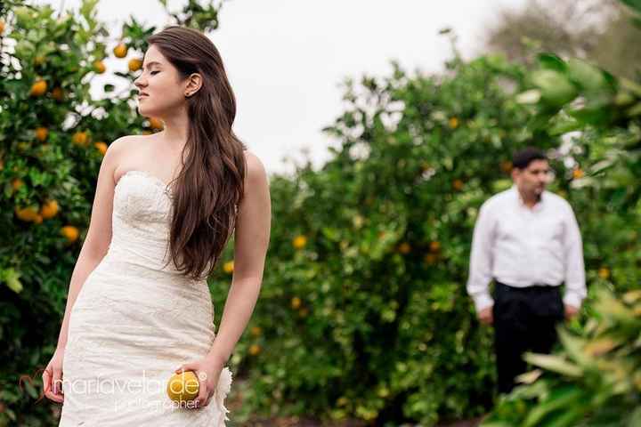 TRASH THE DRESS