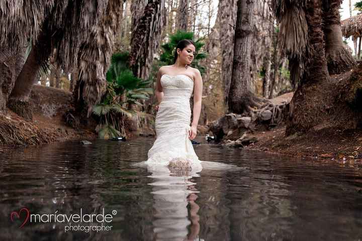 TRASH THE DRESS