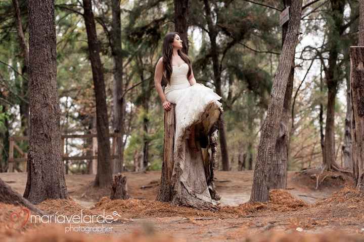 TRASH THE DRESS