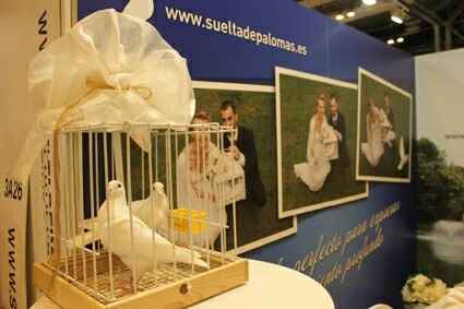 Palomas en la boda? - 1