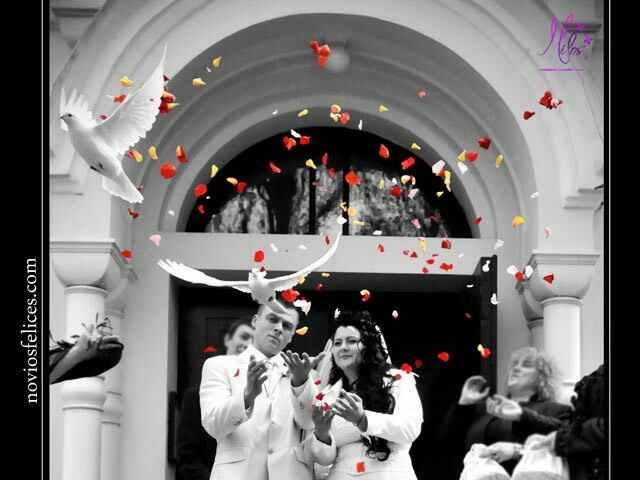 Palomas en la boda? - 2