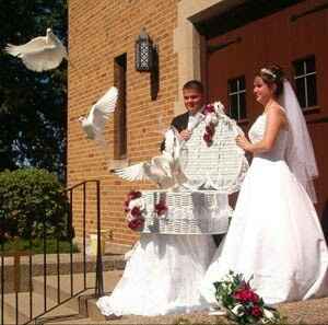 Palomas en la boda? - 6