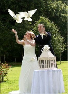 Palomas en la boda? - 7