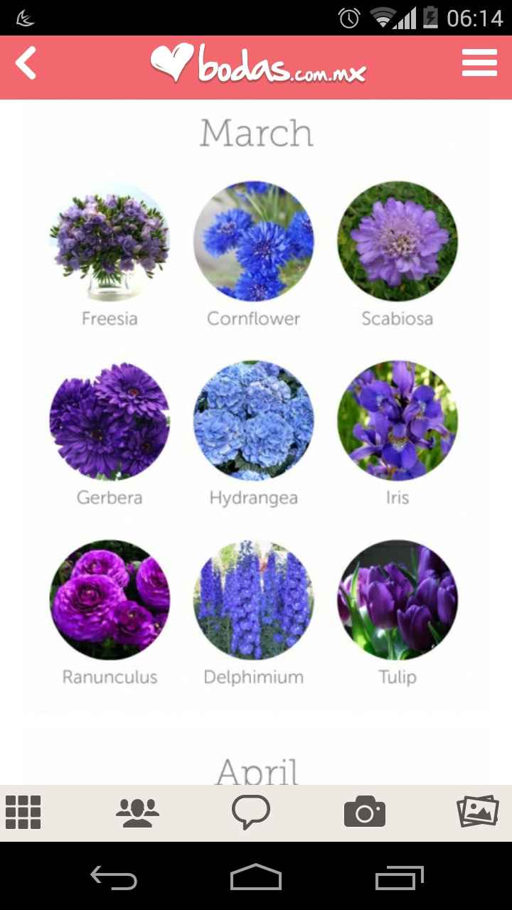 Flores para tu boda acorde al mes que te casas - 1