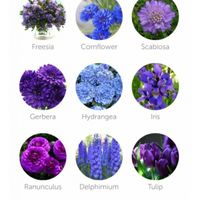 Flores para tu boda acorde al mes que te casas - 1