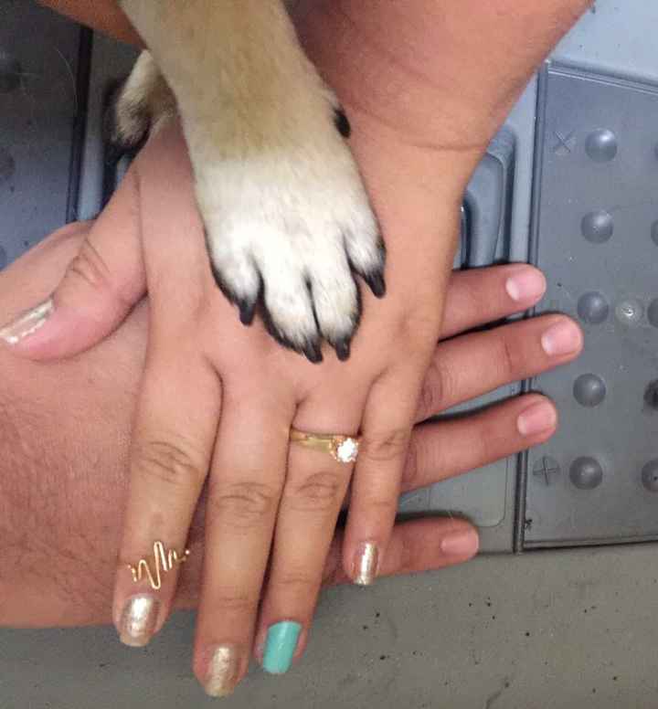 A presumir anillo! - 1