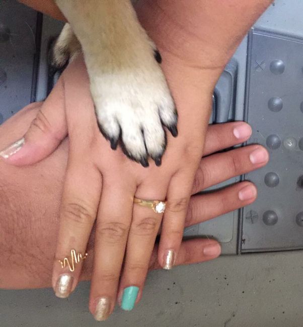 A presumir anillo! - 1