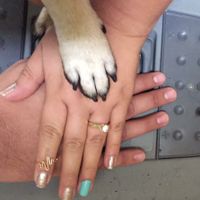 A presumir anillo! - 1