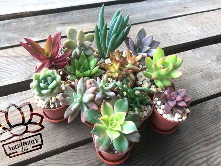 Recuerdos unisex? o para hombre y mujer? - 1