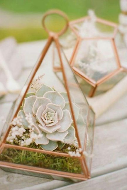 Comparte...tu paleta de colores favorita 36