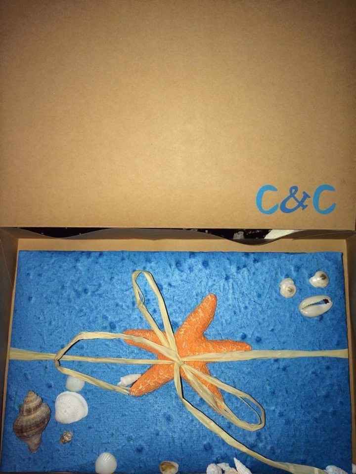 Stellita: me presento - 1