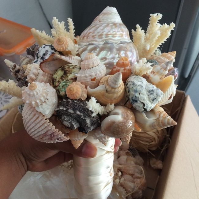 Mi ramo y el mis damas - 2