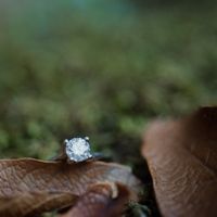 Mi anillo de compromiso, Damaris - 1