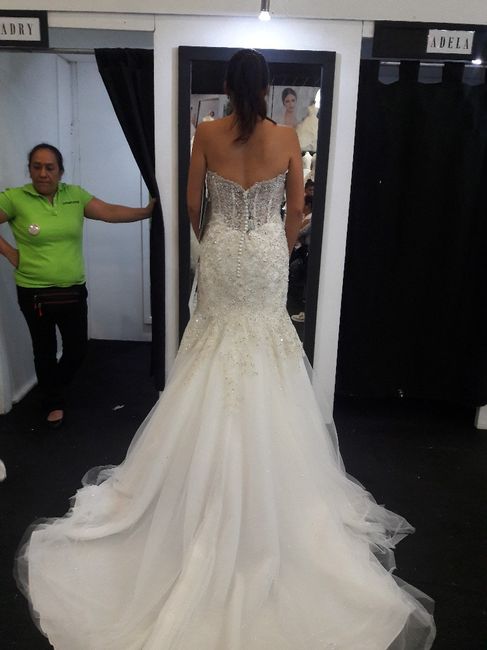 Ahora si... mi vestido!!! - 5