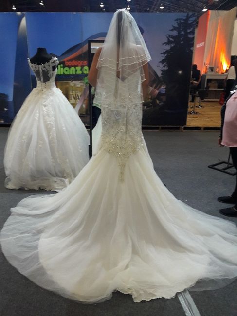 Ahora si... mi vestido!!! - 8