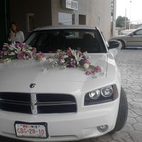 el carro